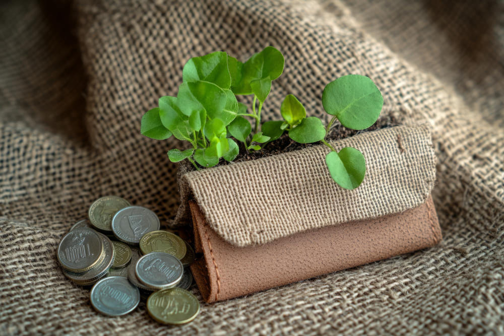 Budget Considerations